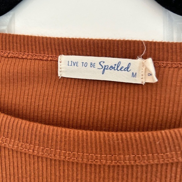 Rust color LS dress - Picture 2 of 3